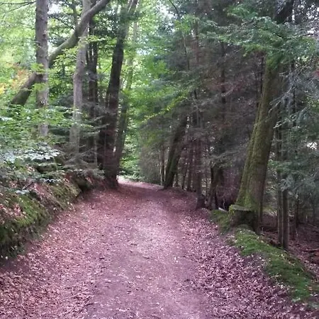 De Moulin Maurt Xertigny