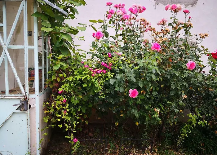 De Moulin Maurt Дом отдыха Xertigny